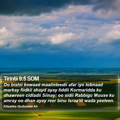 Tirintii 9:5 SOM Bible Verse Image