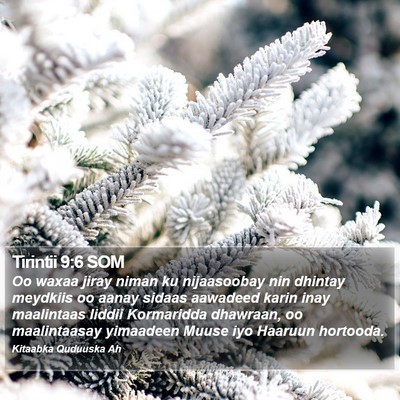 Tirintii 9:6 SOM Bible Verse Image