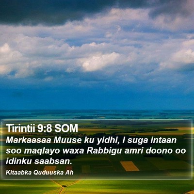 Tirintii 9:8 SOM Bible Verse Image