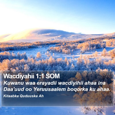 Wacdiyahii 1:1 SOM Bible Verse Image