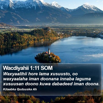 Wacdiyahii 1:11 SOM Bible Verse Image