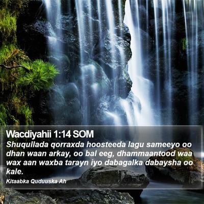 Wacdiyahii 1:14 SOM Bible Verse Image
