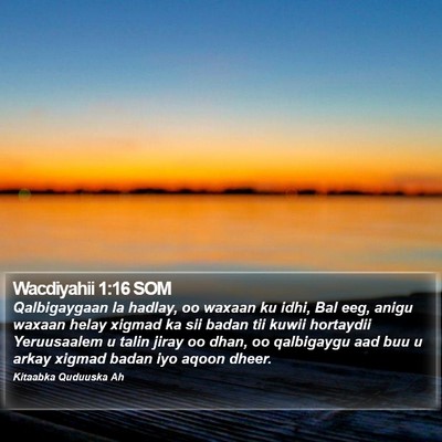Wacdiyahii 1:16 SOM Bible Verse Image