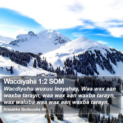 Wacdiyahii 1:2 SOM Bible Verse Image