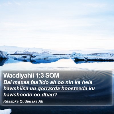 Wacdiyahii 1:3 SOM Bible Verse Image