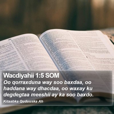 Wacdiyahii 1:5 SOM Bible Verse Image