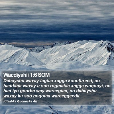 Wacdiyahii 1:6 SOM Bible Verse Image