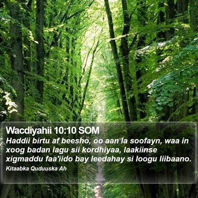 Wacdiyahii 10:10 SOM Bible Verse Image