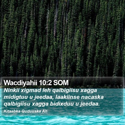 Wacdiyahii 10:2 SOM Bible Verse Image