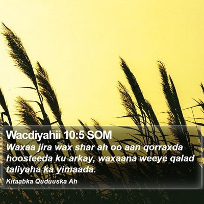Wacdiyahii 10:5 SOM Bible Verse Image
