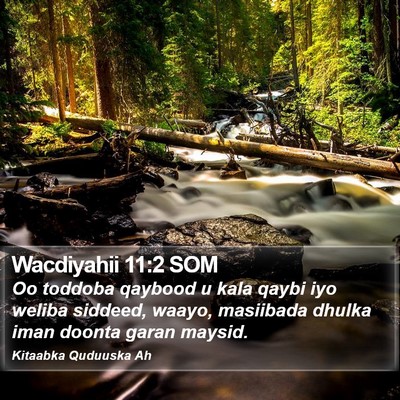 Wacdiyahii 11:2 SOM Bible Verse Image