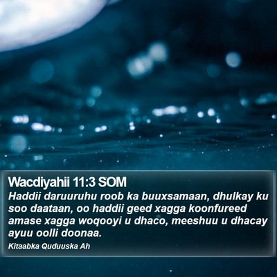 Wacdiyahii 11:3 SOM Bible Verse Image
