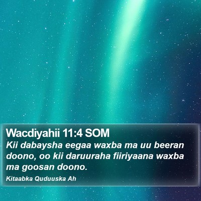 Wacdiyahii 11:4 SOM Bible Verse Image
