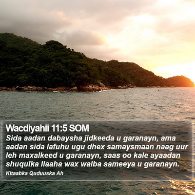 Wacdiyahii 11:5 SOM Bible Verse Image