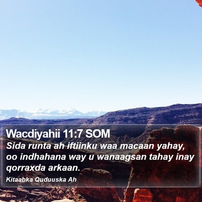 Wacdiyahii 11:7 SOM Bible Verse Image