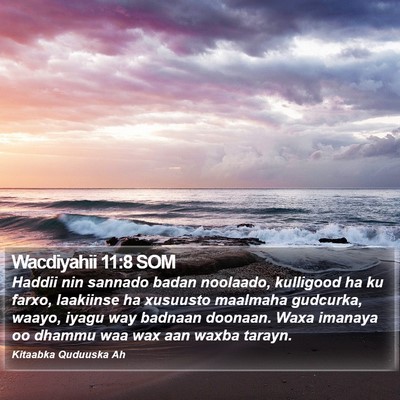 Wacdiyahii 11:8 SOM Bible Verse Image