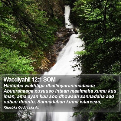Wacdiyahii 12:1 SOM Bible Verse Image