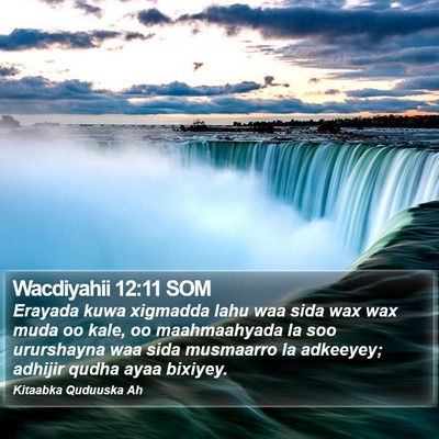 Wacdiyahii 12:11 SOM Bible Verse Image