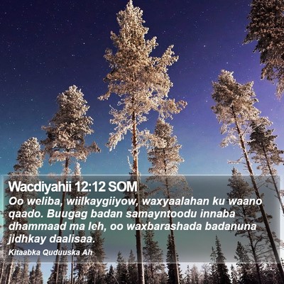 Wacdiyahii 12:12 SOM Bible Verse Image