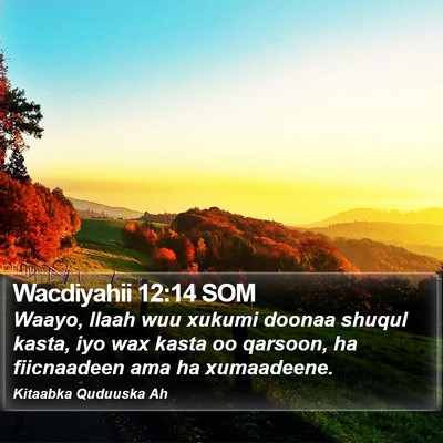 Wacdiyahii 12:14 SOM Bible Verse Image