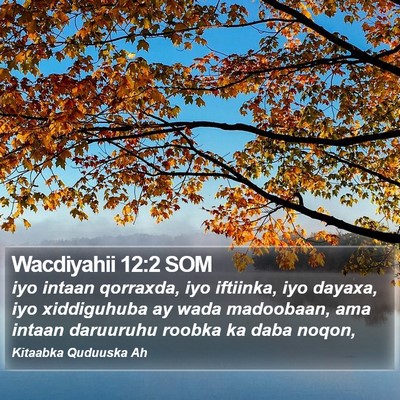 Wacdiyahii 12:2 SOM Bible Verse Image
