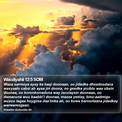 Wacdiyahii 12:5 SOM Bible Verse Image