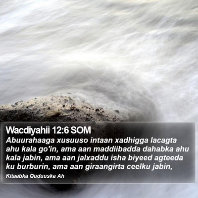Wacdiyahii 12:6 SOM Bible Verse Image