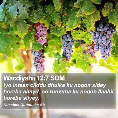 Wacdiyahii 12:7 SOM Bible Verse Image