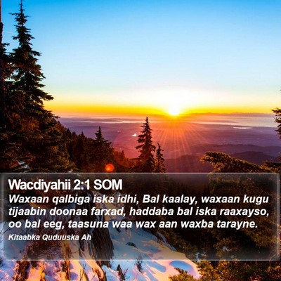 Wacdiyahii 2:1 SOM Bible Verse Image