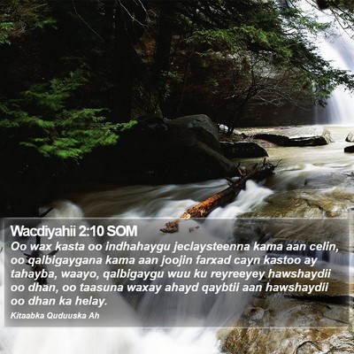 Wacdiyahii 2:10 SOM Bible Verse Image