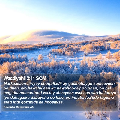 Wacdiyahii 2:11 SOM Bible Verse Image