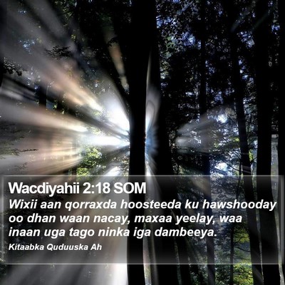 Wacdiyahii 2:18 SOM Bible Verse Image