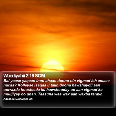 Wacdiyahii 2:19 SOM Bible Verse Image