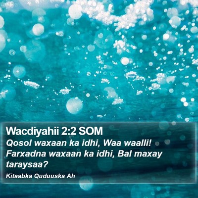 Wacdiyahii 2:2 SOM Bible Verse Image