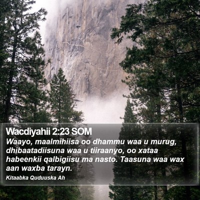 Wacdiyahii 2:23 SOM Bible Verse Image