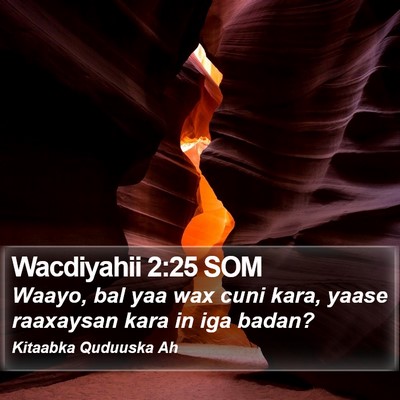 Wacdiyahii 2:25 SOM Bible Verse Image