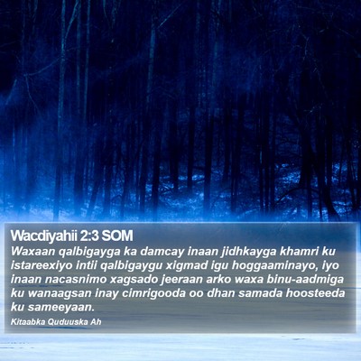 Wacdiyahii 2:3 SOM Bible Verse Image
