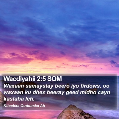 Wacdiyahii 2:5 SOM Bible Verse Image