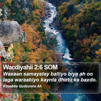 Wacdiyahii 2:6 SOM Bible Verse Image