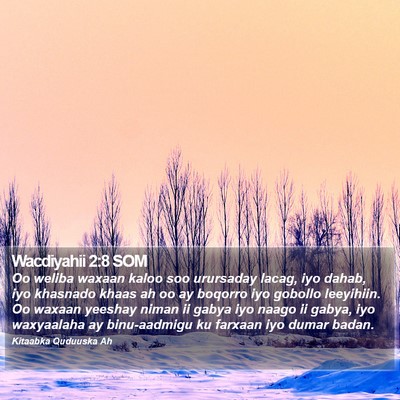 Wacdiyahii 2:8 SOM Bible Verse Image