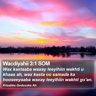 Wacdiyahii 3:1 SOM Bible Verse Image