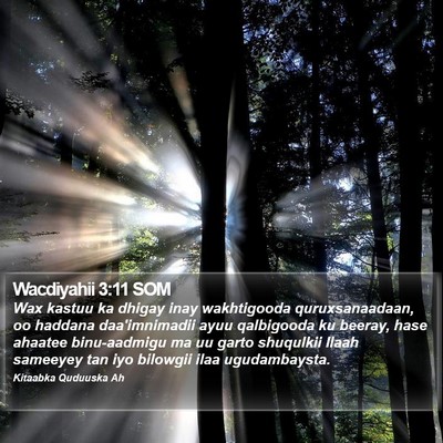 Wacdiyahii 3:11 SOM Bible Verse Image