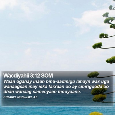 Wacdiyahii 3:12 SOM Bible Verse Image