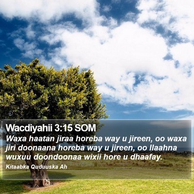 Wacdiyahii 3:15 SOM Bible Verse Image