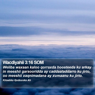 Wacdiyahii 3:16 SOM Bible Verse Image
