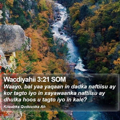 Wacdiyahii 3:21 SOM Bible Verse Image
