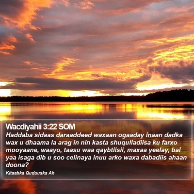 Wacdiyahii 3:22 SOM Bible Verse Image