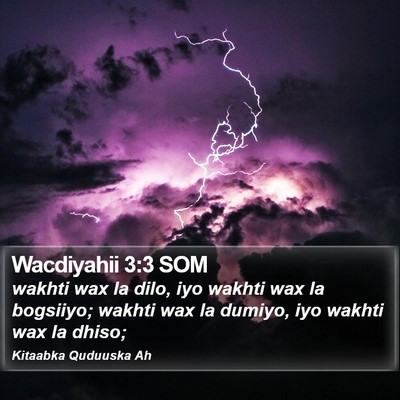 Wacdiyahii 3:3 SOM Bible Verse Image