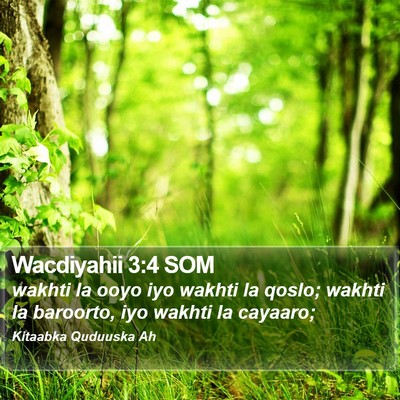 Wacdiyahii 3:4 SOM Bible Verse Image