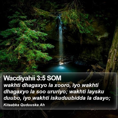 Wacdiyahii 3:5 SOM Bible Verse Image